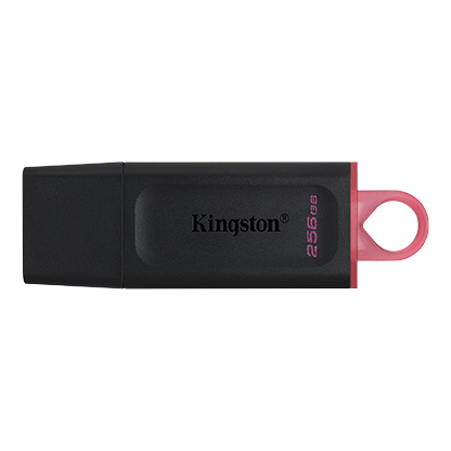 USB memorija Kingston 64GB DataTraveler SE9 G3 (DTSE9G3/64GB)