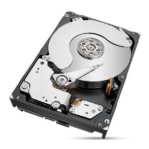Tvrdi disk 8TB SEAGATE Ironwolf PRO NAS (ST8000NT001)