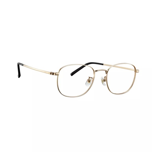 Xiaomi Blue Light Blocking Glasses (Gold)