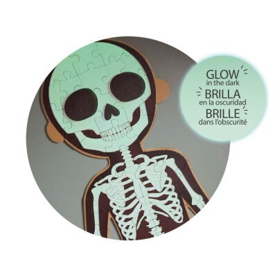 Slagalica Apli fluorescentna ljudsko tijelo