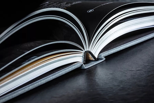 Dry Ager biblija za suho dozrijevanje (DX2041)