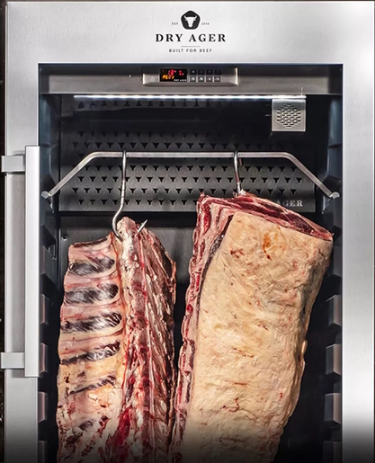 Dry Ager inox ovjesni nosač za DX1000 (DX0011)