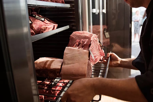 Dry Ager polica za meso za DX1000 (DX0020)