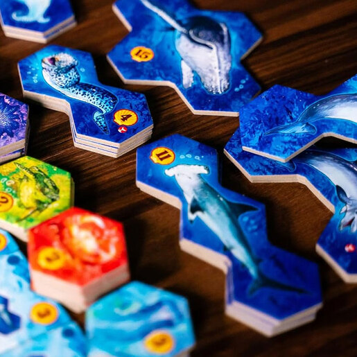 Aqua, hrvatsko izdanje