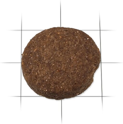 Ontario Adult Large Breed 2,25kg, riba i riža