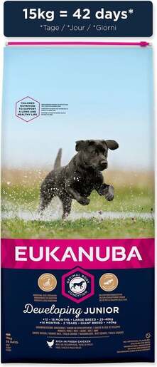 Eukanuba Junior Large & Giant Breed 15kg, piletina