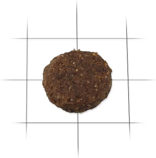 Ontario Adult Medium Breed 2,25 kg, piletina i krumpir