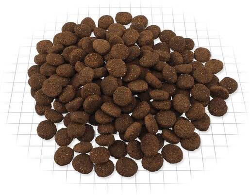 Ontario Puppy & Junior Large Breed 2,25 kg, piletina i krumpir