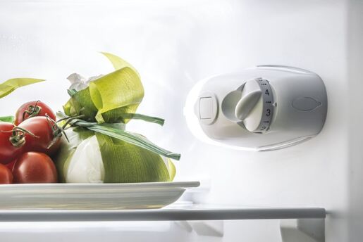 Candy hladnjak CCG1L314EW