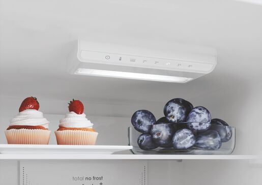 Candy hladnjak CCE3T620EW