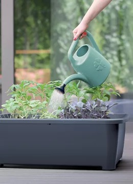 Posuda za sadnice sa poklopcem Set  83l - antracit siva