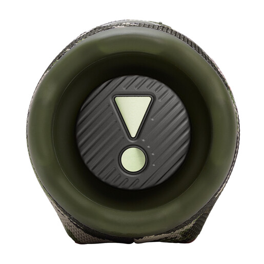 JBL Charge 6 prijenosni Bluetooth zvučnik, maskirni