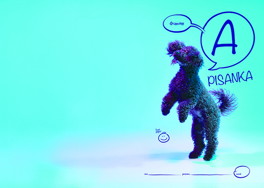 Pisanka A LIPA MILL, B5 linije, 16 listova, meki uvez