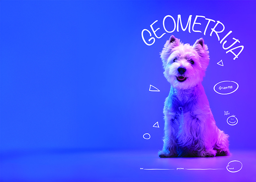 Pisanka Geometrija LIPA MILL, B5, 16 listova, meki uvez