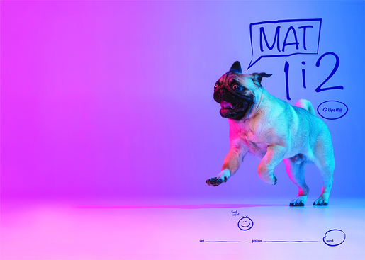 Pisanka Matematika 1 i 2 LIPA MILL, B5 kvadratići, 24 lista, meki uvez