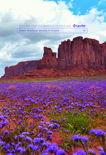 Bilježnica Travel, A4 kvadratići, 42 lista, meki uvez