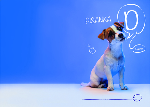 Pisanka D LIPA MILL, B5 linije, 48 listova, meki uvez