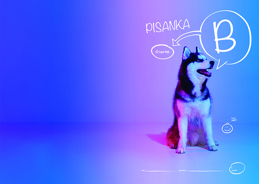 Pisanka B LIPA MILL, B5 linije, 16 listova, meki uvez