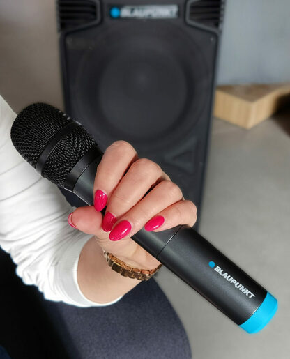 Blaupunkt WM60UDBM bežični mikrofon, 2 kom