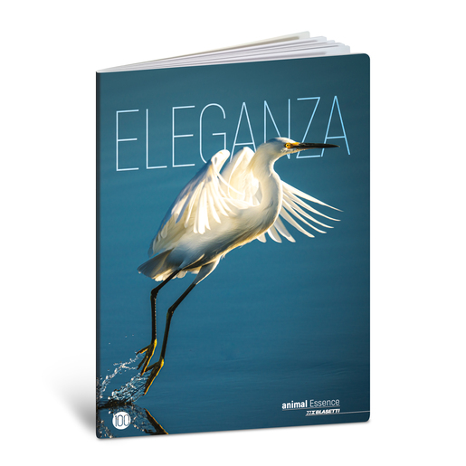 Bilježnica  Blasetti Scuola Animal essence, A4 linije, 38 listova, meki uvez