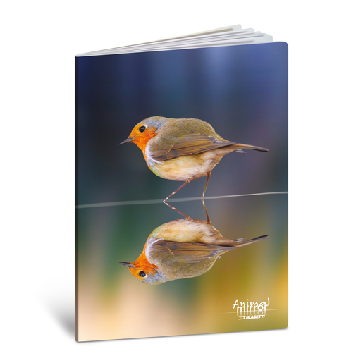 Bilježnica  Blasetti Scuola Animal mirror, A4 linije, 42 listova, meki uvez