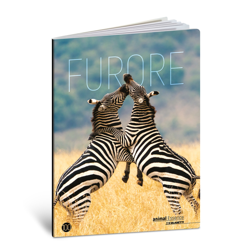 Bilježnica  Blasetti Scuola Animal essence, A4 kvadratići, 38 listova, meki uvez