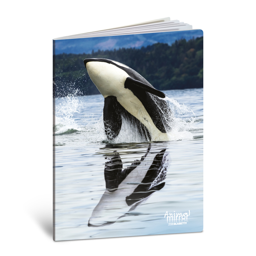 Bilježnica  Blasetti Scuola Animal mirror, A4 linije, 42 listova, meki uvez