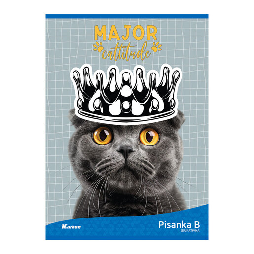 Pisanka B KARBON MIX, B5 linije, 16 listova, meki uvez