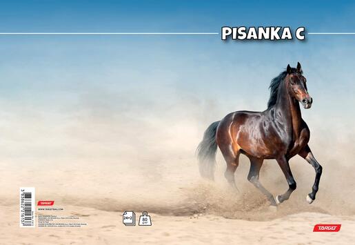Pisanka C, Target životinje, B5, linije, 24 lista, meki uvez