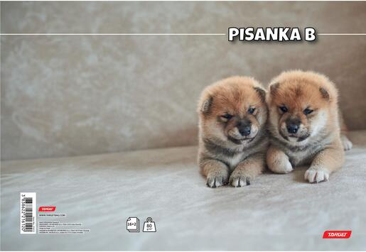 Pisanka B, Target životinje, B5, linije, 16 listova, meki uvez