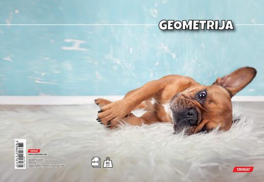 Pisanka, Target životinje, B5, geometrija, 16 listova, meki uvez