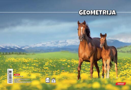 Pisanka, Target životinje, B5, geometrija, 16 listova, meki uvez