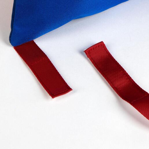 Vrećica za papuče, Cerda, Spidey