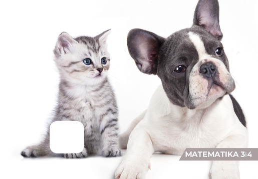 Pisanka Matematika 3 i 4 BEMORE, B5 kvadratići, 48 listova, meki uvez