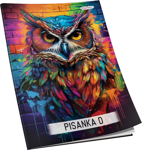 Pisanka D Premium Connect Girl, B5 linije, 48 listova, meki uvez