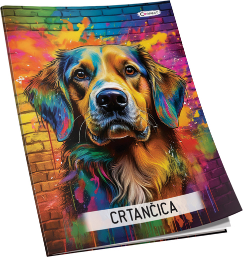 Crtančica Premium Connect Girl, B5 linije, 16 listova, meki uvez