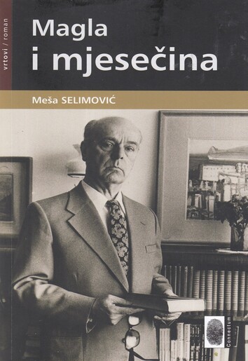 MAGLA I MJESEČINA