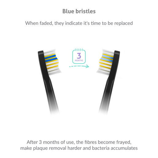 TRUELIFE električna četkica SonicBrush Compact Black