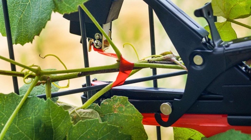 PROLINE alat za vezivanje biljaka