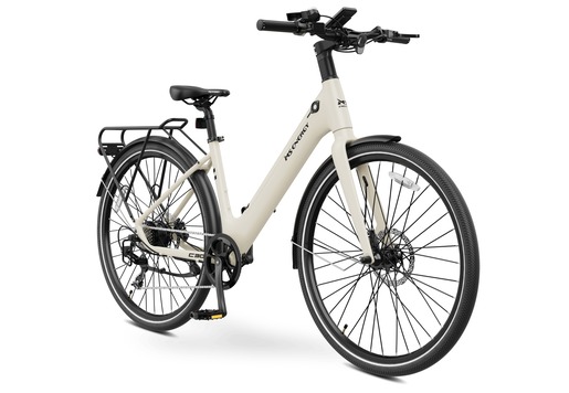 MS ENERGY eBike c30