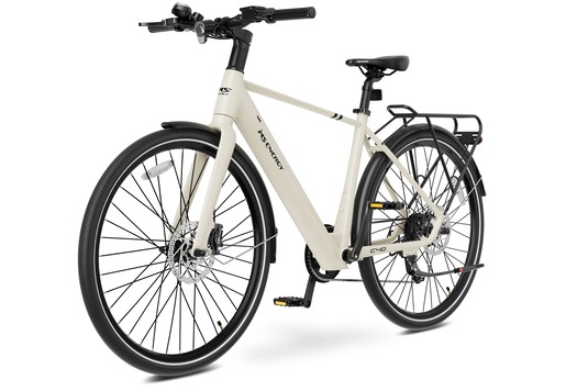 MS ENERGY eBike c40