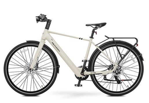 MS ENERGY eBike c40
