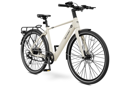 MS ENERGY eBike c40