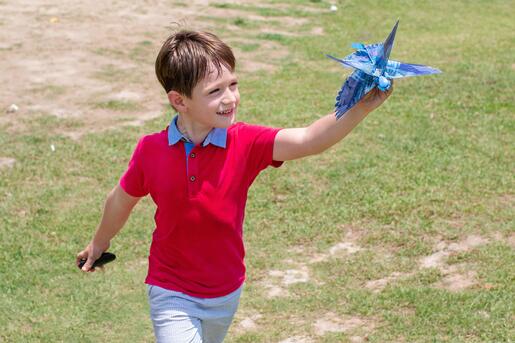 Go Go Bird ptica na daljinsko upravljanje