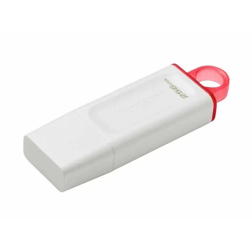 USB memorija Kingston 256GB DTX White (KC-U2G256-5R)
