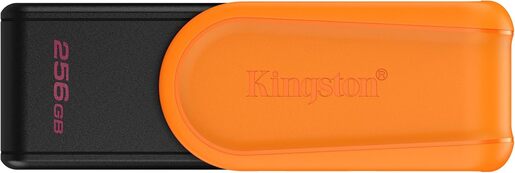 USB memorija Kingston 256GB DTXS (DTXS/256GB)
