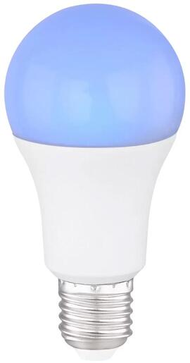 X-LIGHT Sijalica 5W LED RGB s IR daljinskim