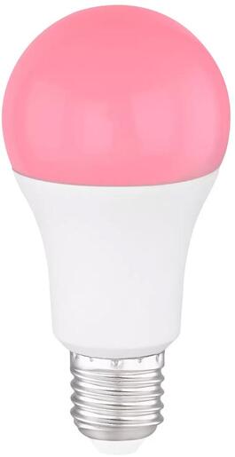 X-LIGHT Sijalica 5W LED RGB s IR daljinskim