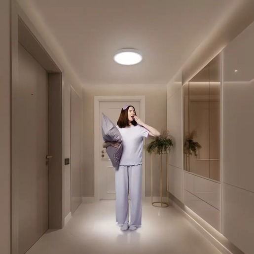 Xiaomi Smart Ceiling Light D20, stropna svjetiljka