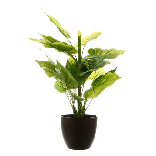 Atmosphera umjetno cvijeće u tegli - Real Touch, 45 cm, zeleno